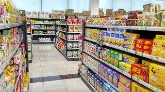 青岛进口报关与食品标签备案代理服务，一体化解决方案助力企业高效通关